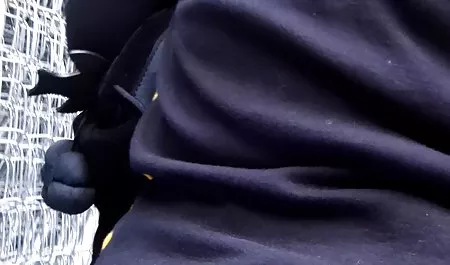 Kimberly Lee Collins tahun bokep suami pergi istri selingkuh 70-an Pentil