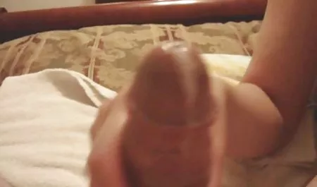 Irama pelangi menjilati kontol sex selingkuh barat dan bola dengan penuh semangat Liz