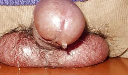 pertemuan pertama dengan ngentod selingkuh teman sekamar saya, dan kami kacau