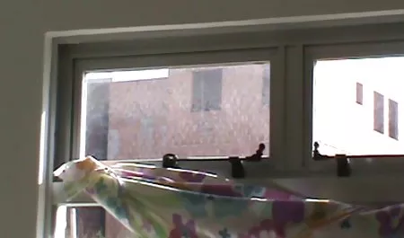 Terangsang Sopir bokep selingkuh lama Truk 17