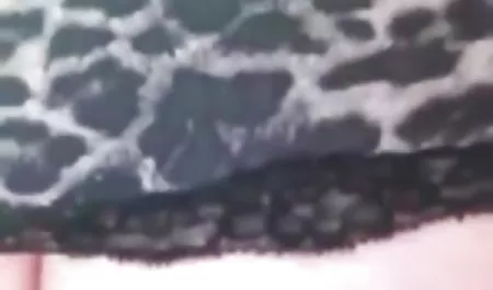 Gairah seks di alam untuk cantik bokep selingkuh terbaru 2018 Lila Bulan