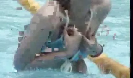 Gadis bokep selingkuh diam diam bersemangat pada gadis itu bot di chat.