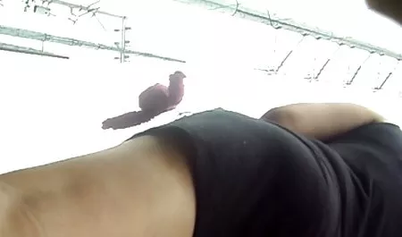 Rumit mencuri remaja tertangkap dan bokep suami sakit istri selingkuh kacau detektif